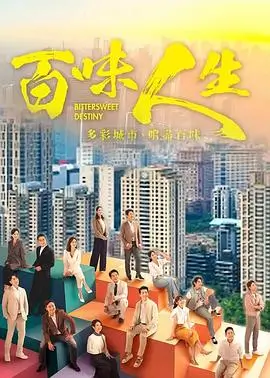 热播电视剧推荐《雾港回声》封面